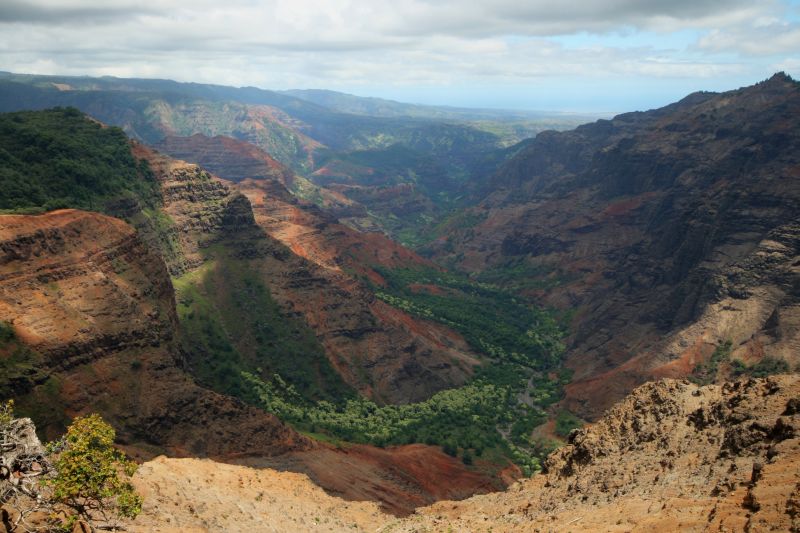 IMG_2950_1_2_tonemapped