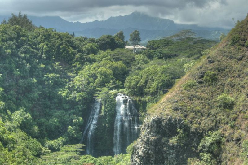 IMG_4173_4_5Enhancer